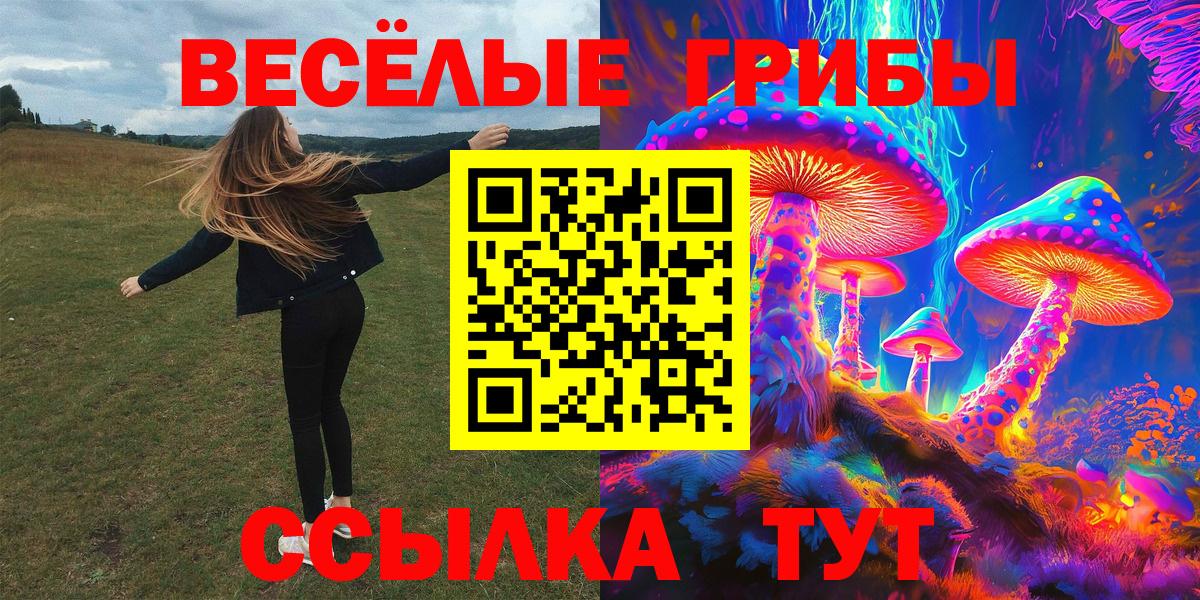 Галлюциногенные грибы Cubensis  Вход с VPN  Псилоцибиновые грибы Psilocybine cubensis  Донской 